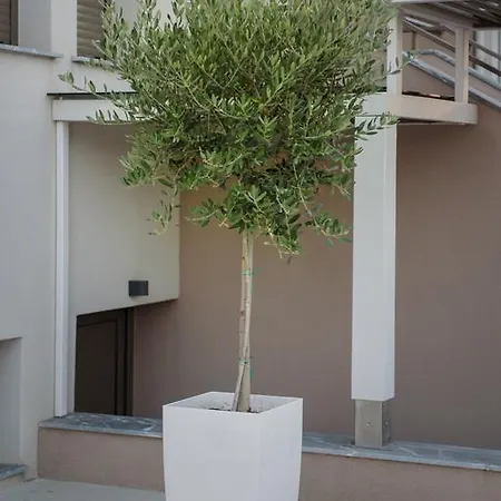 Corali Luxury Ierissós