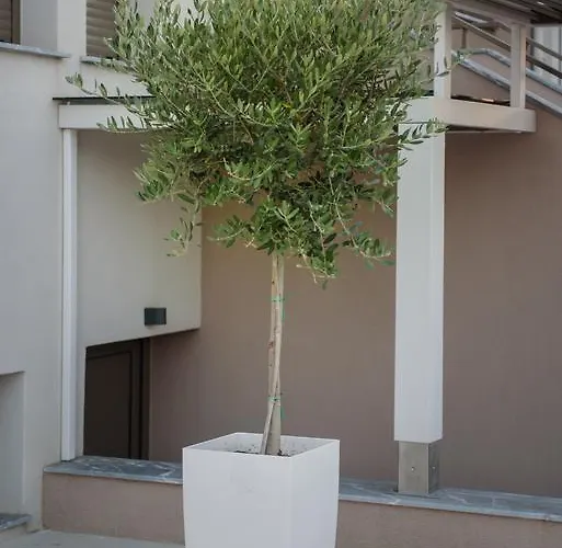 Corali Luxury Ierissos