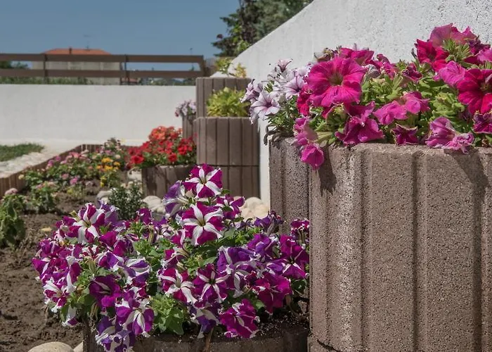 Corali Luxury Villas